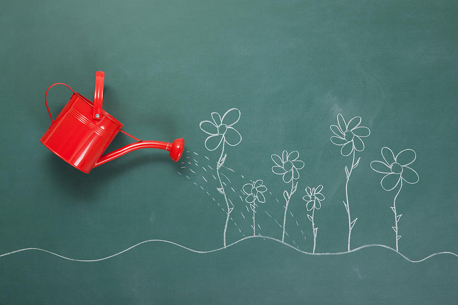 Red Watering Can And Flowers Drawings On Blackboard Photograph by Selimaksan