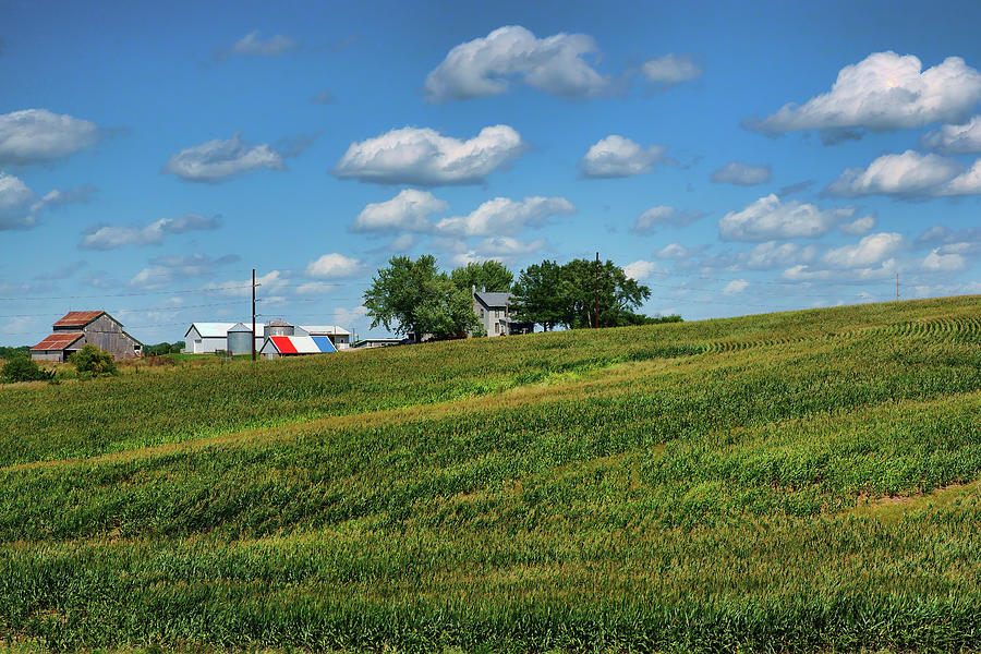 Red, White, and Blue - Farmscape Photograph by Nikolyn McDonald