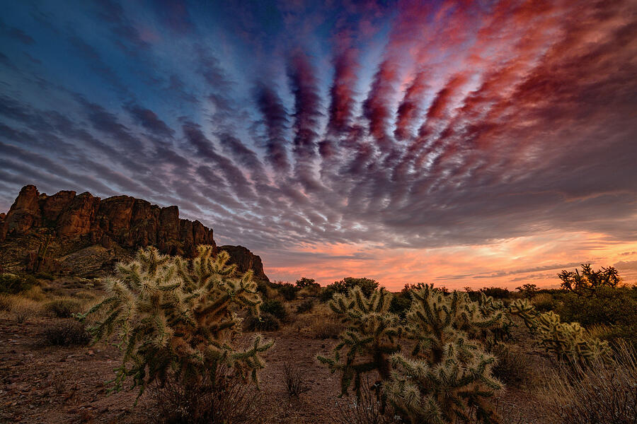 Red, White, Blue over Lost Dutchman Photograph by Matt Halvorson Red, White, Blue over Lost Dutchman Photograph by Matt Halvorson