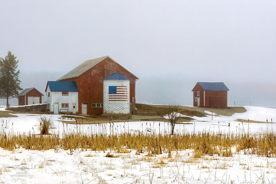 Red White N Blue Photograph by Trey Foerster