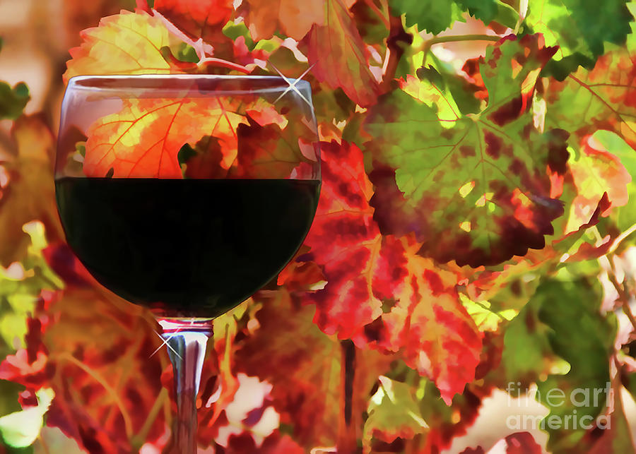 https://images.fineartamerica.com/images/artworkimages/mediumlarge/3/red-wine-and-autumn-vineyard-colors-stephanie-laird.jpg