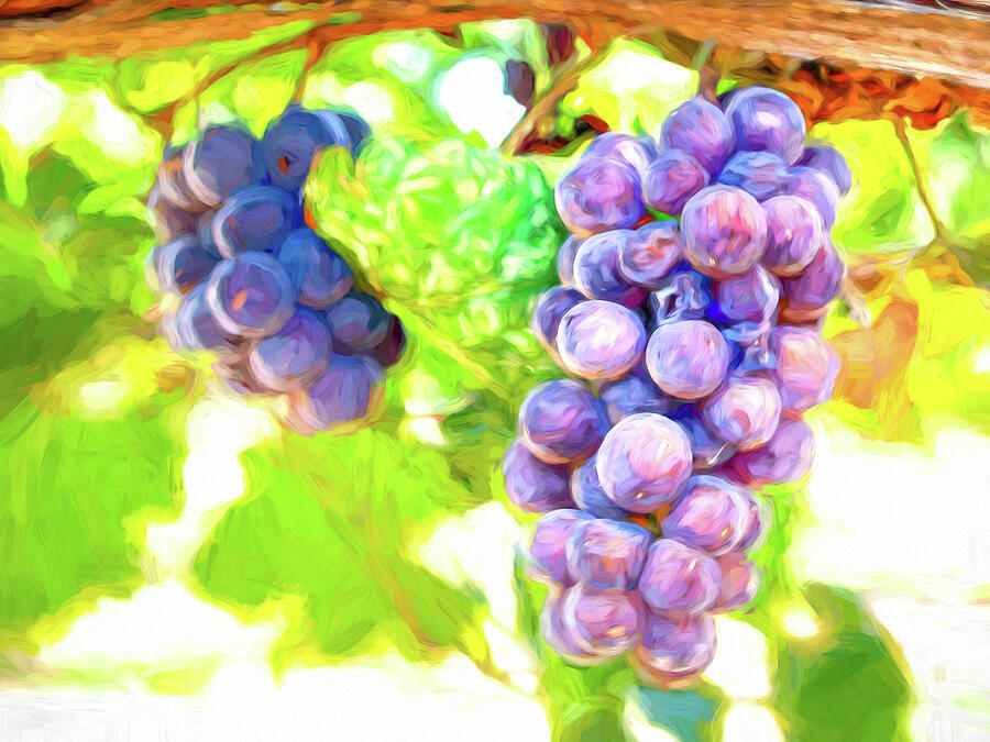Red Wine Grapes - Painterly Digital Art by Bill Gallagher