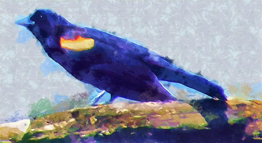Red Winged Blackbird Mixed Media by Christopher Reed