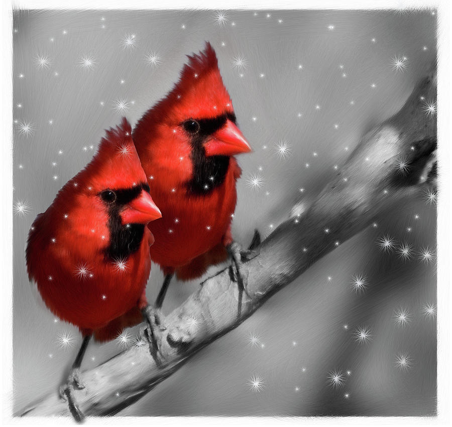 Red Winter Cardinals Painting by Doreen Erhardt