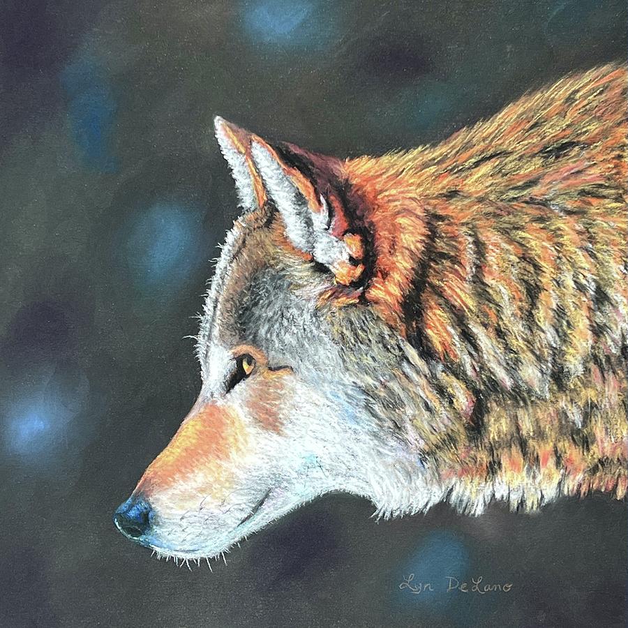 Red Wolf Pastel by Lyn DeLano