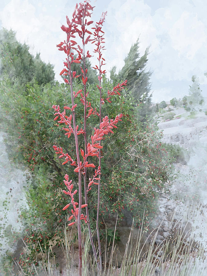 Red Yucca Digital Art by Julie Rodriguez Jones