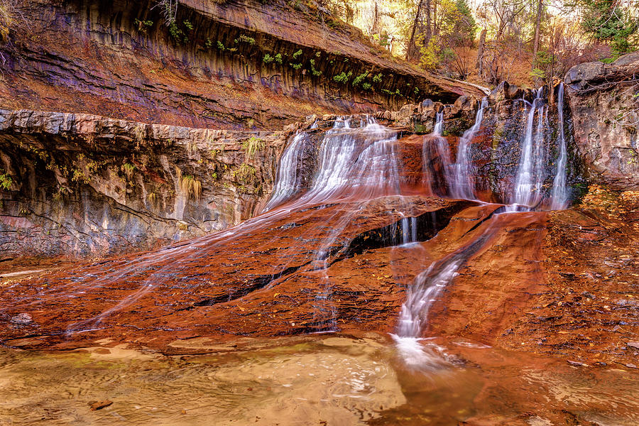 Zion National Park Photograph - Red Zion Waterfall by Pierre Leclerc Photography