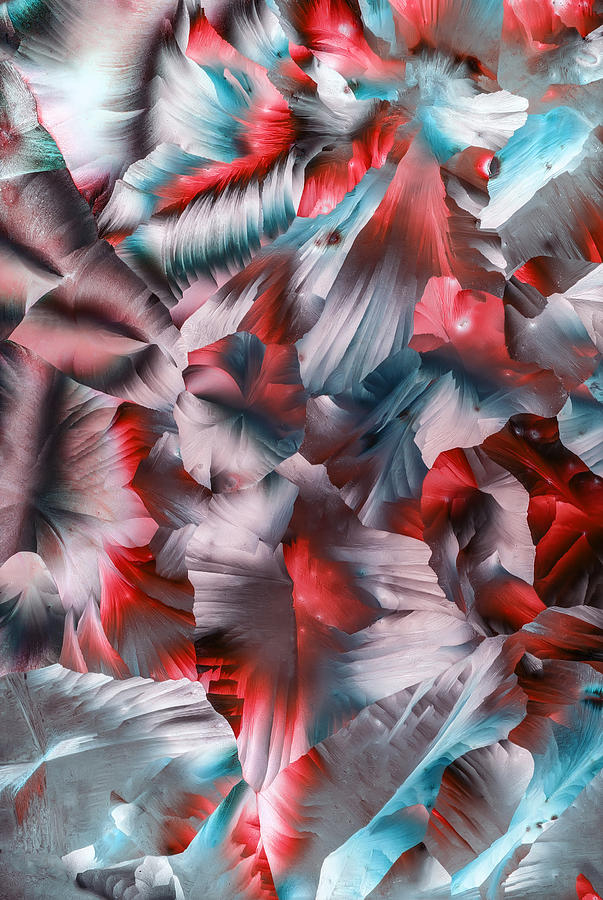 Red,blue and grey crystals Photograph by Jaroslaw Blaminsky