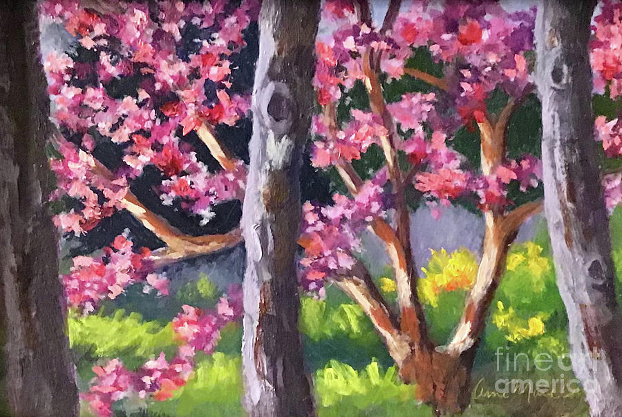 Redbud Painting by Anne Marie Brown