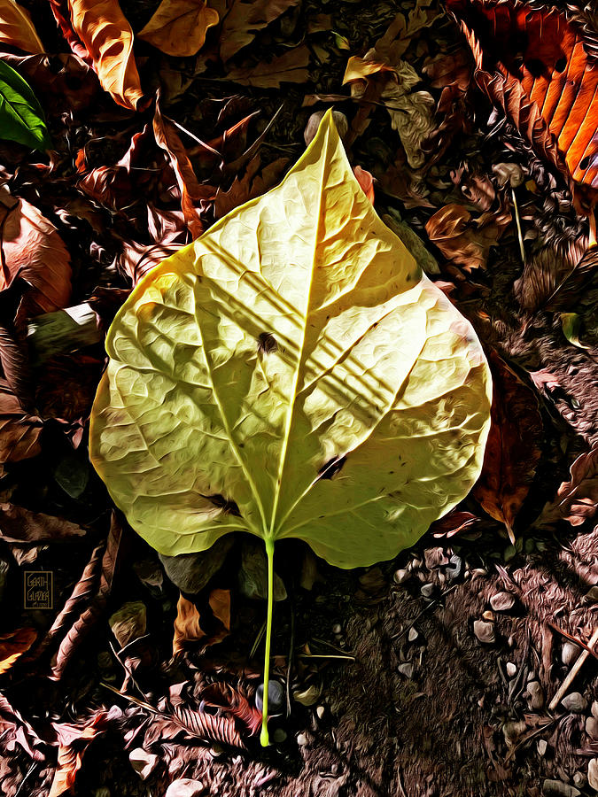 Redbud Leaf Abstract #1 Photograph by Garth Glazier