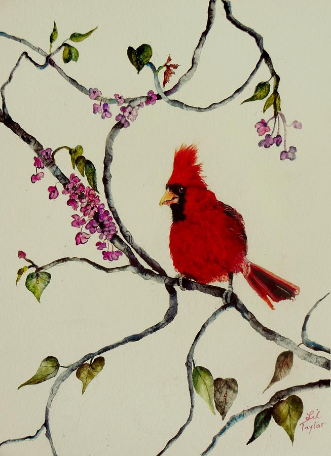 Redbud Redbird Painting by Lil Taylor