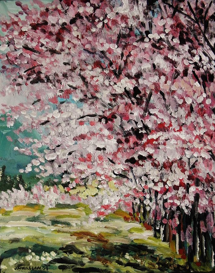 Redbuds in Flower Painting by John Williams