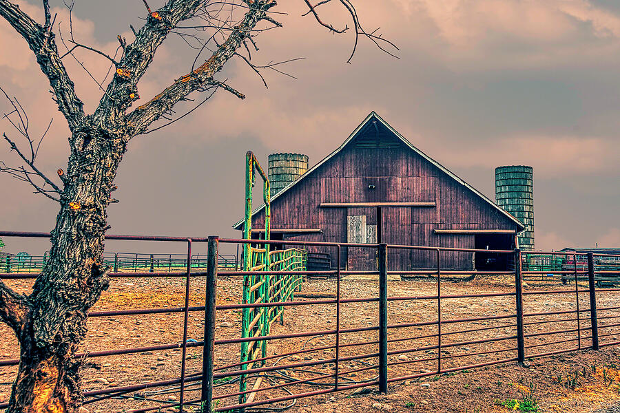 Barn Photograph - Redding Ranch and Silo Barn by William Havle