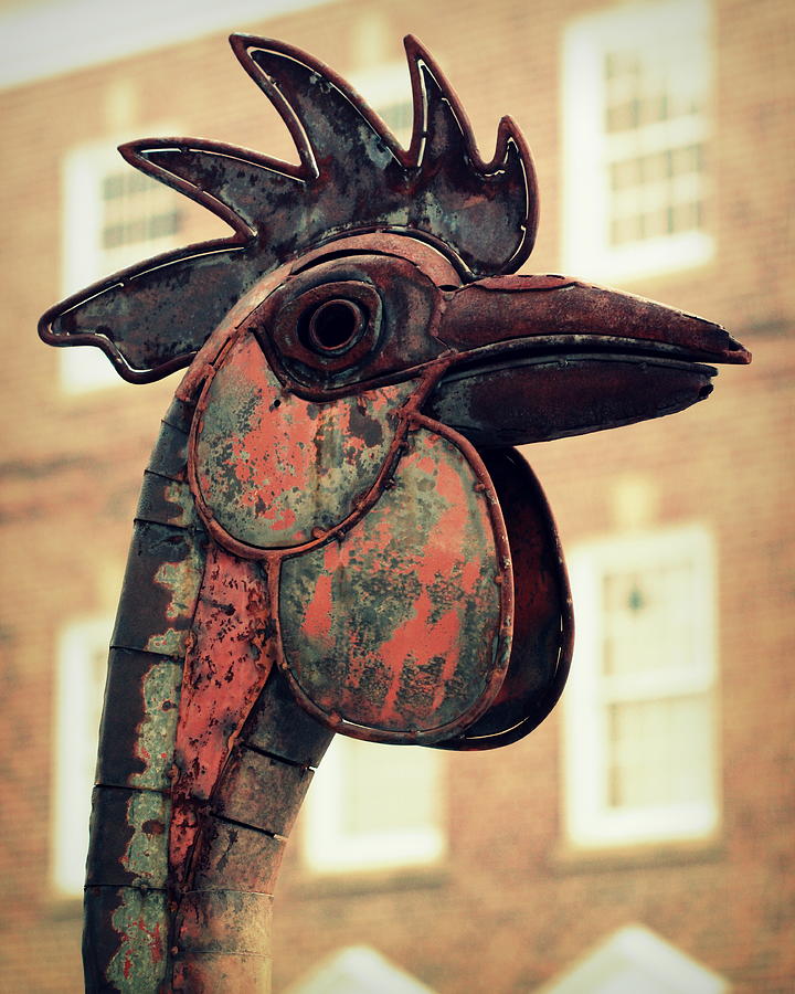 Rooster Photograph - Reddy Rooster Sculpture by Joseph Skompski