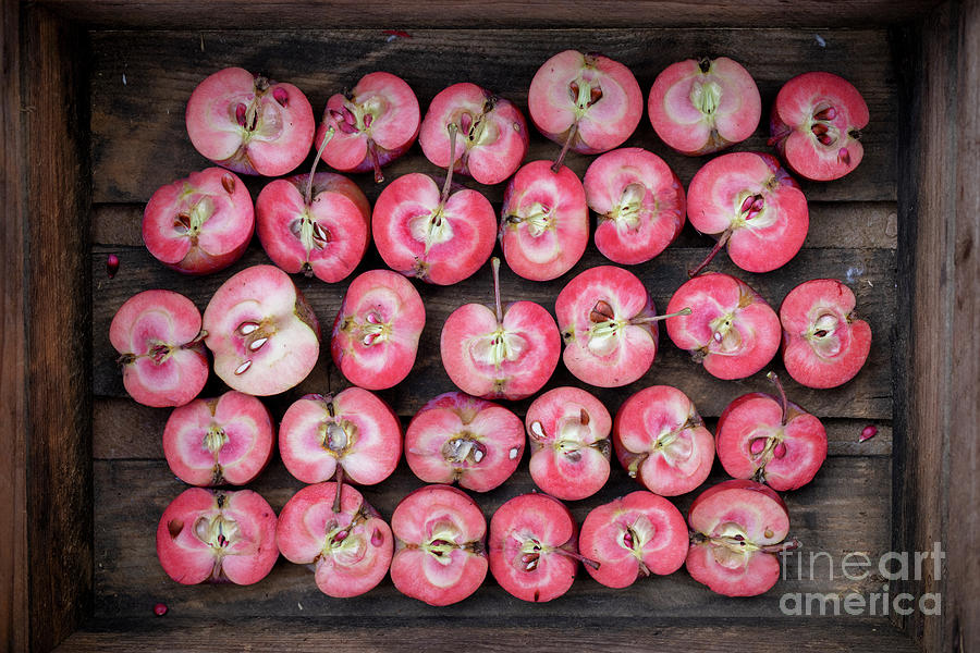 Redlove Era Apples  Photograph by Tim Gainey