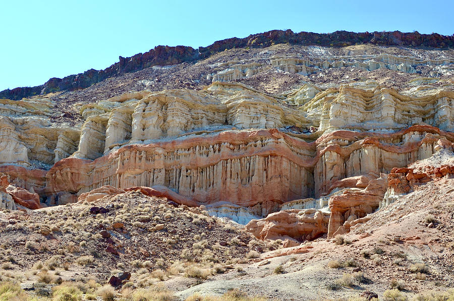 RedRockCanyon Photograph by Sharon Lombardi - Fine Art America