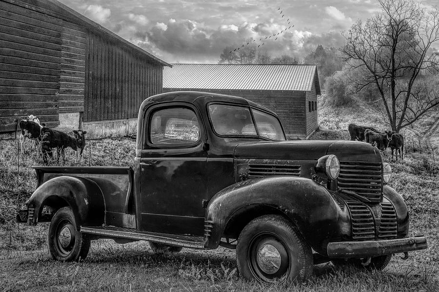 Reds at Sunrise in Black and White Photograph by Debra and Dave Vanderlaan