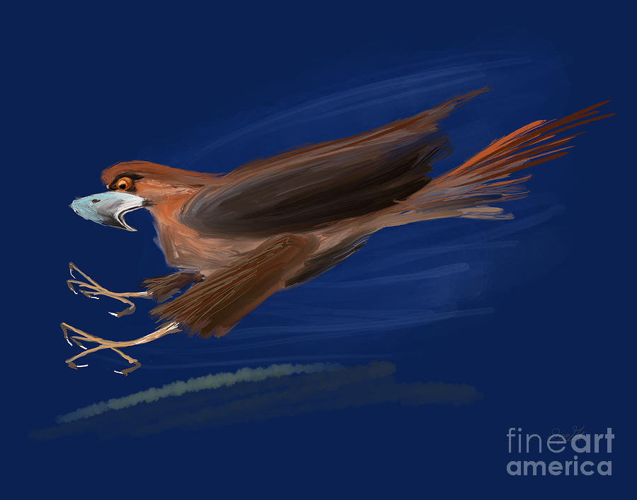 Redtail Hawk Digital Art by Doug Gist