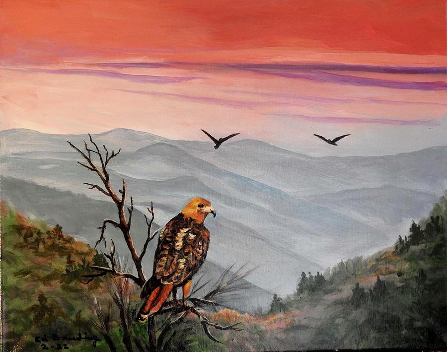 Redtail Hawk Painting by Ed Breeding