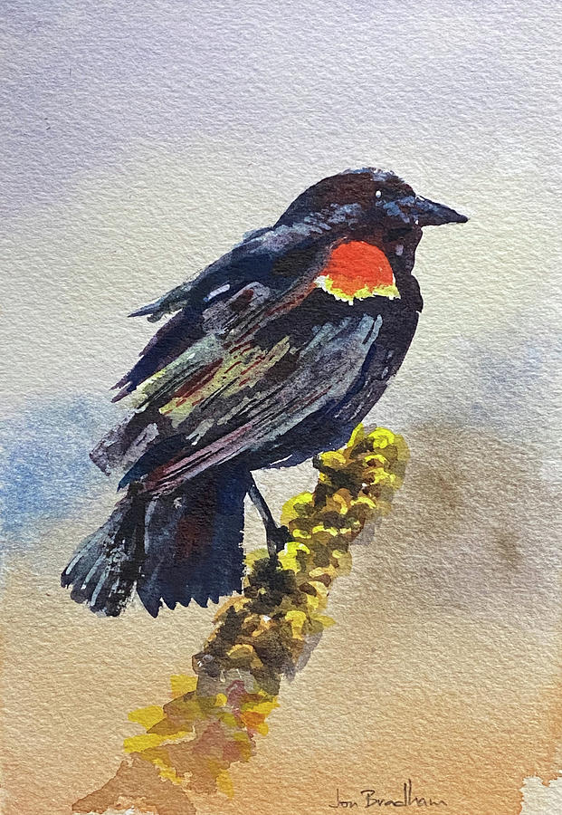 red winged blackbird painting