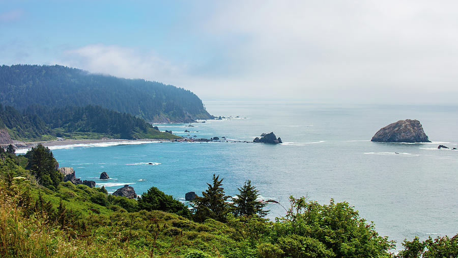 Redwood Coast Photograph by Joel Hazy - Fine Art America