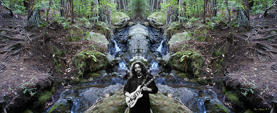 Redwood Forest Rock #1 Horizontal by Ben Upham Redwood Forest Rock #1 Horizontal by Ben Upham