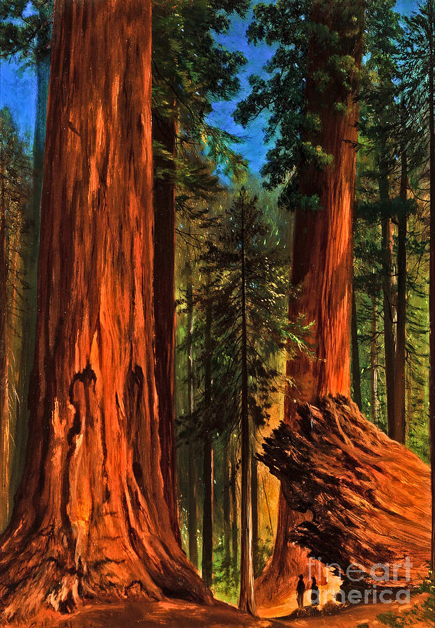 Redwood Forest Yosemite Valley 19th Century Painting by Gilbert Davis