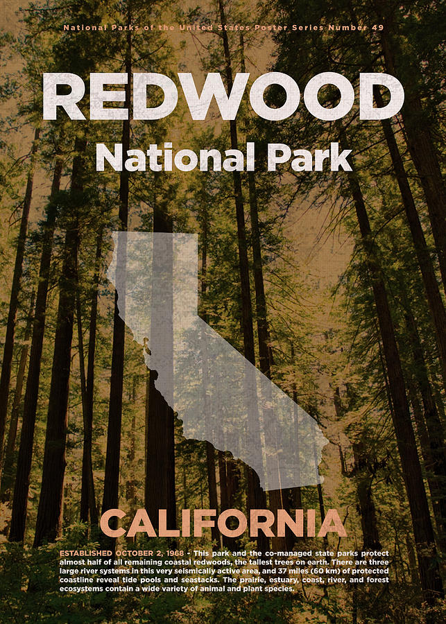 National Parks Mixed Media - Redwood National Park in California Travel Poster Series of National Parks Number 49 by Design Turnpike