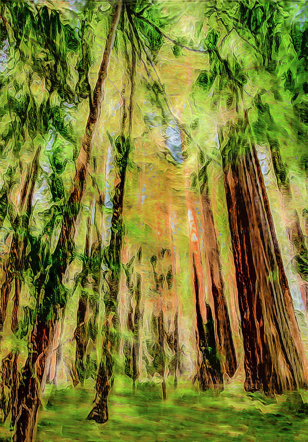 Redwood Trees 1 DecorArt Photograph by Dan Carmichael