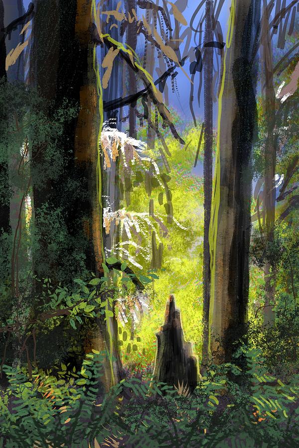 Redwoods Digital Art by Don Morgan