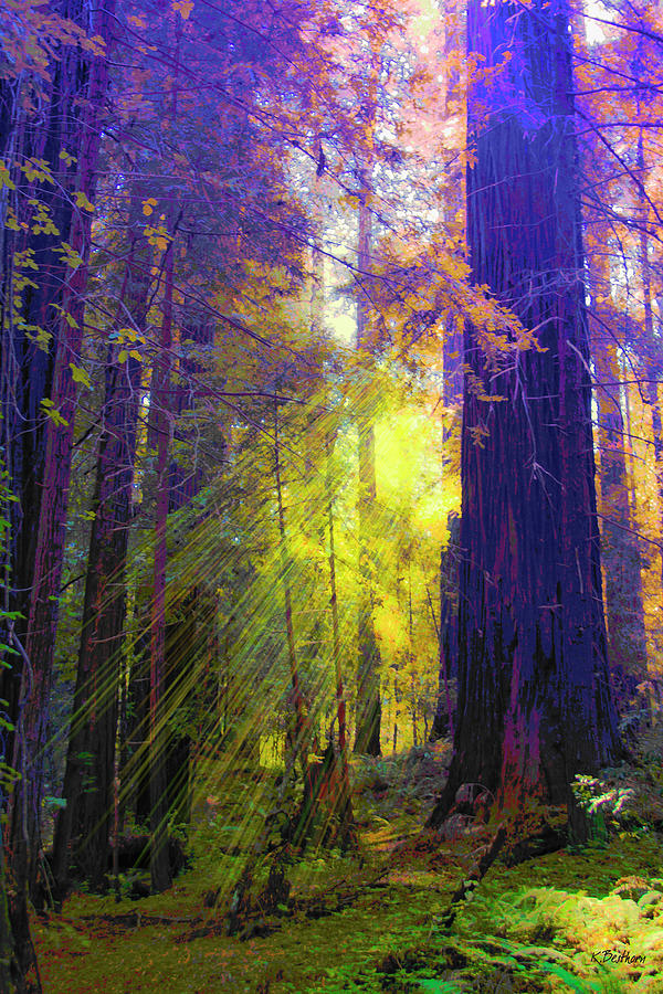 Redwoods Edge Digital Art by Kathy Besthorn