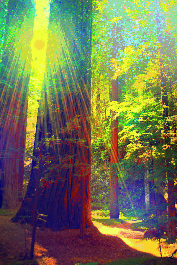 Redwoods Rainbow  Digital Art by Kathy Besthorn