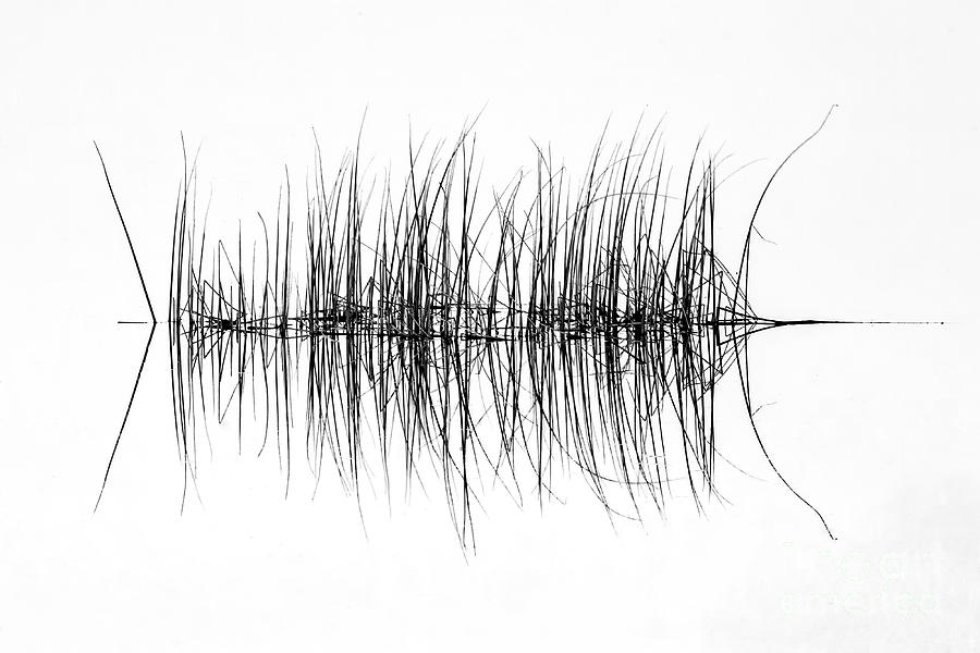 Reeds In Water High Key Photograph
