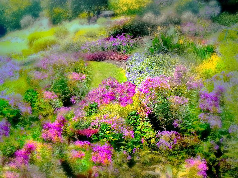 Reedy Falls Garden Photograph by Diana Angstadt