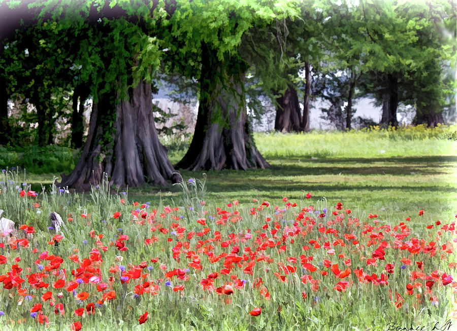 Reelfoot Lake and Poppies Photograph by Bonnie Willis