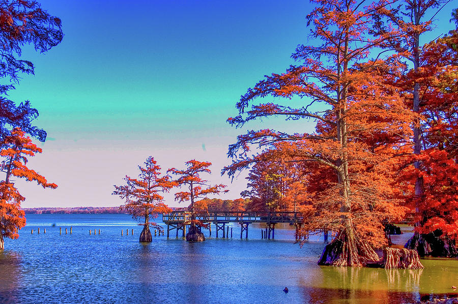 Reelfoot Lake in Tennessee_0218 Photograph by James C Richardson