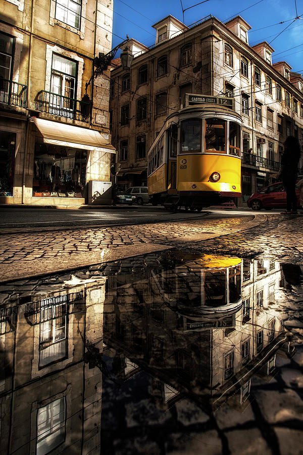 Reflected Photograph by Jorge Maia