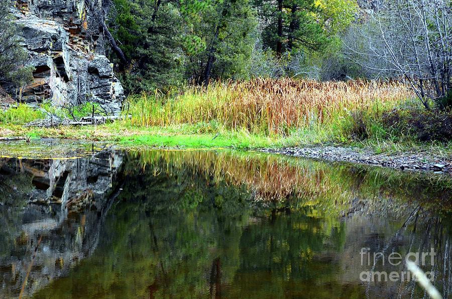 Reflected Pond Photograph by Lauren Leigh Hunter Fine Art Photography