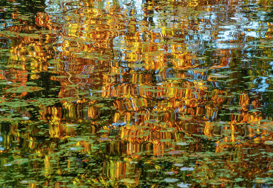 Reflected Ripples Photograph by Cate Franklyn