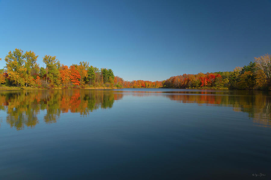 Reflected Symmetry Photograph by Brian Shaw | Fine Art America