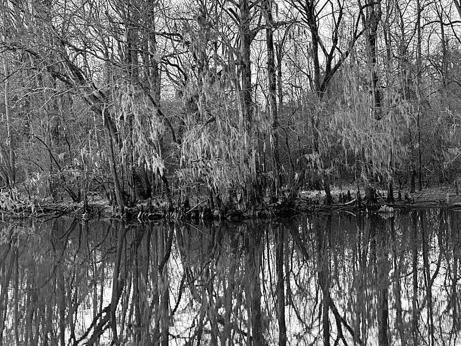 Reflecting Abstract BW Photograph by Lee Darnell