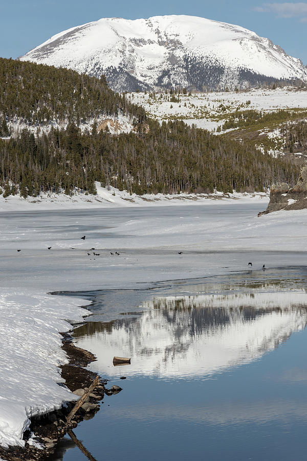 Reflecting Mountain in Colorado  Photograph by John McGraw