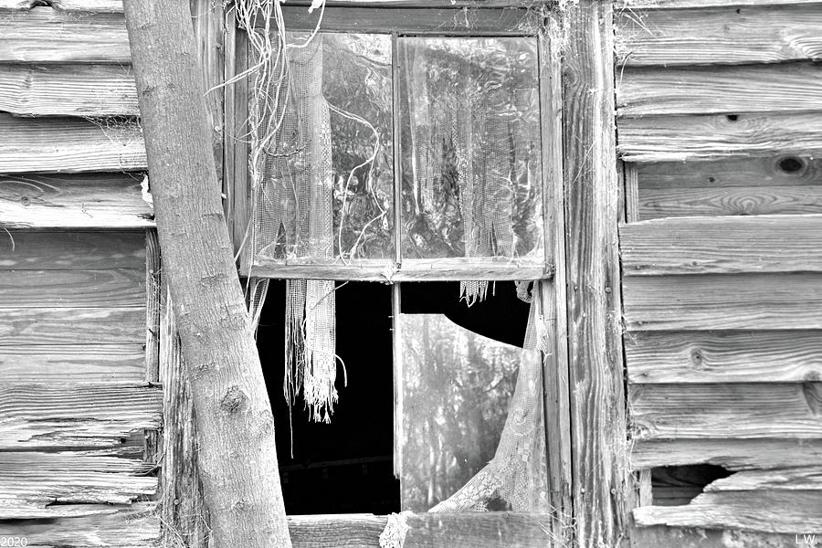 Reflecting On A Broken Life Black And White Photograph by Lisa Wooten