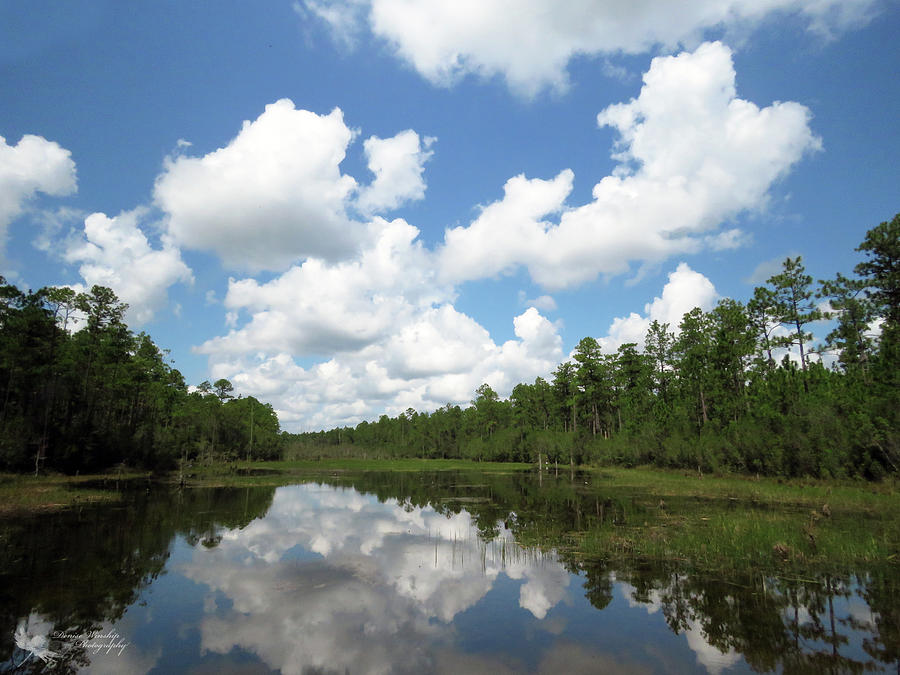 Reflecting on Blackwater River Photograph by Denise Winship