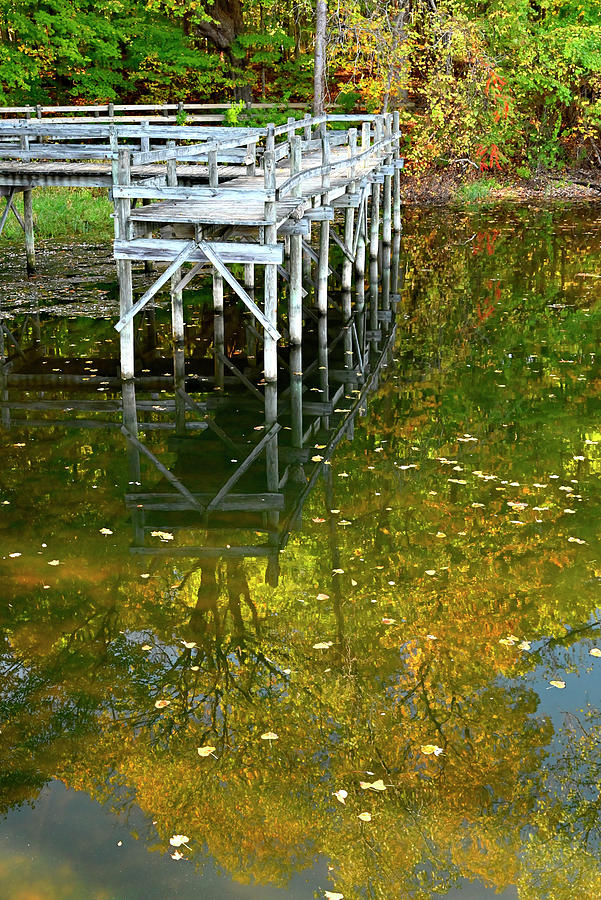 Reflecting on Fall Photograph by Rein Nomm