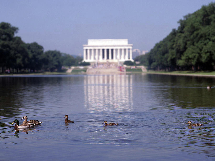 Reflecting on the Lincoln Memorial Photograph by James C Richardson