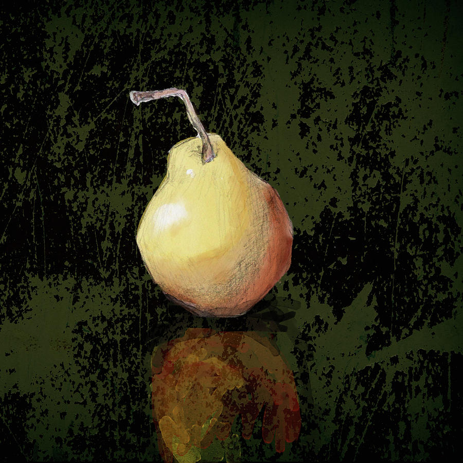 Reflecting Pear Drawing by Nancy Merkle