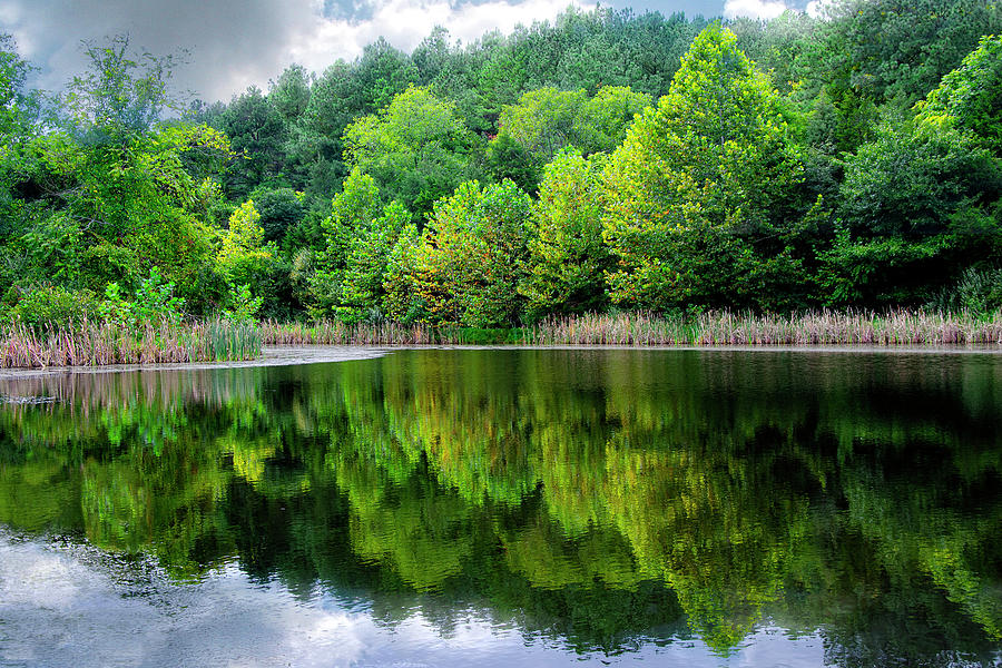 Reflecting Pond Photograph by Anthony M Davis
