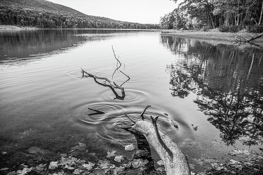 Reflecting Ripples B And W Photograph By Dathan Hylton - Fine Art America