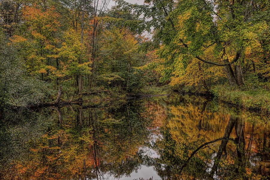 Reflecting The Green and Gold Photograph by Dale Kauzlaric